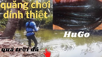 Giật cá như vầy mới đã tay - Con mồi gì mà quăng đường nào Cá táp đường đó - Phê thật - Vinh Ròm