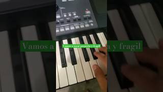 tocando en el teclado pequeña y fragil