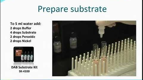 Tissue staining with DAB Peroxidase Substrate Kit from Vector Laboratories