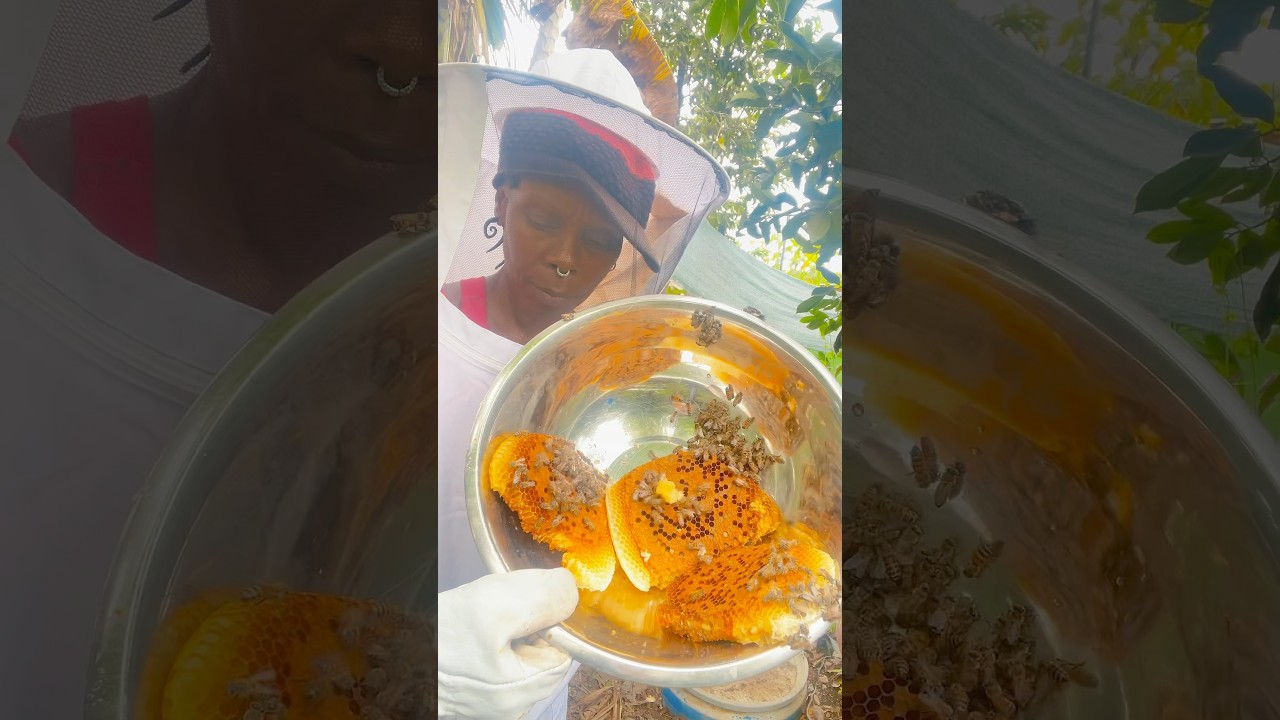 Beekeeping raw vegan journey 🐝