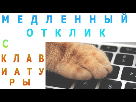 Проблема медленный отклик клавиатуры и Backspace в Windows 4 способа