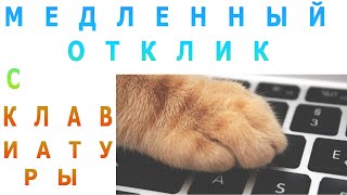 Проблема медленный отклик клавиатуры и Backspace в Windows 4 способа