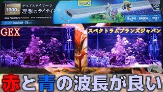 【LED照明】アクロのグロウ越えか!? 1万円以下で買える、テトラパワーLEDプレミアム60を点灯させてみた！【ふぶきテトラ】