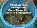 Panchagavya, Bio-Digester, Green Manuring, Azolla & Slurrigation