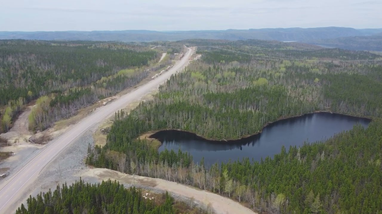 Boreal forest Nature