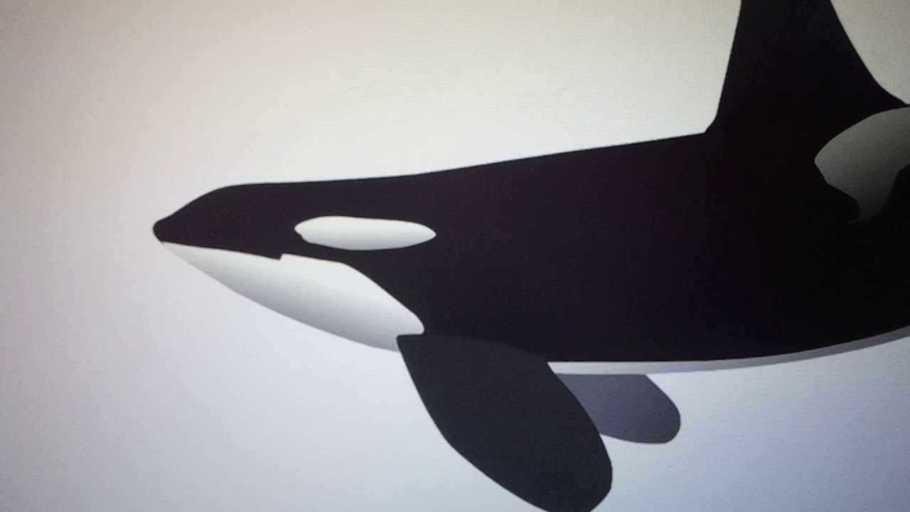 Giant Squid Vs Orca Whale - YouTube