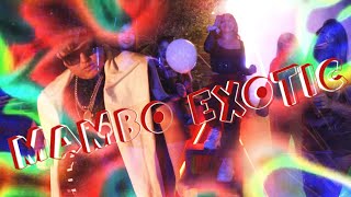 MAMBO EXOTIC   -  Kidblessed x Benji Maldi x El Crono x Alexita Princess