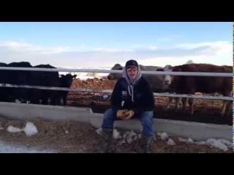 Cody Tesch video blog 2/11/2014