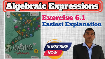 exercise 6.1 class 8th maths weaves book