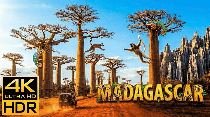 Why Everyone's Talking About MADGASCAR'S Forgotten Side | NATURE 4K