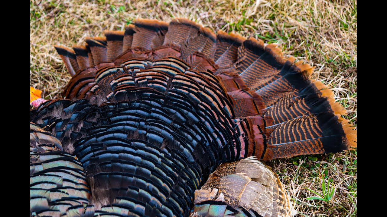 Vermont youth weekend 2020 YouTube