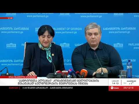 ირმა ინაშვილის და კობა დავითაშვილის ბრიფინგი