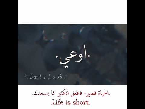 جبروت هتحاربني تموت اوعي تنطق صوت حلات واتس عصام صاصا