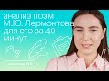 Анализ поэм М.Ю. Лермонтова для ЕГЭ за 40 минут | Литература с Лилией Булгариной