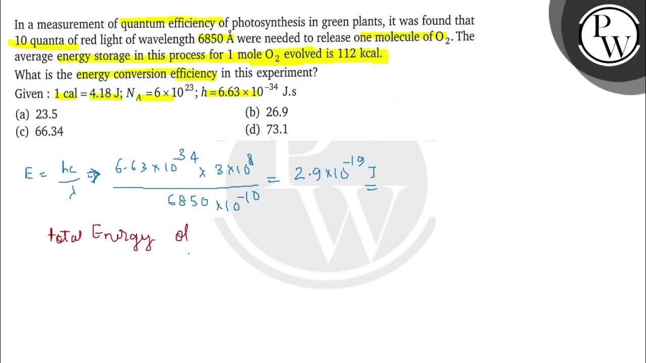 In a measurement of quantum efficiency of photosynthesis in green plants, it was found that 10