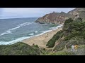 Swimmer Attacked by Great White Shark at Gray Whale Cove