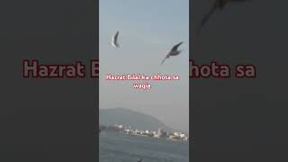 #shortvideo #hazratbilalkawaqia #interestingfacts #amazingfacts #islamicknowledge #hadeesknowledge