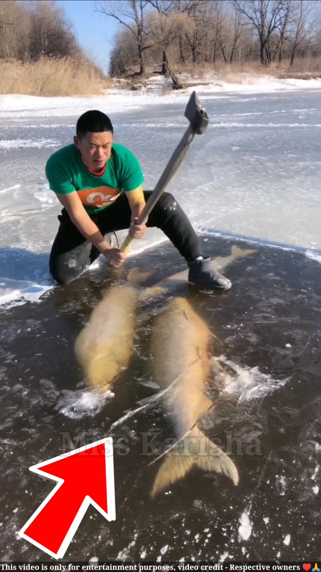 ये आदमी मछली की जान बचाता चाहता है || ice fish || #shortsvideo