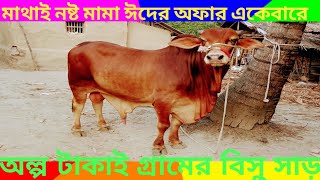 খব অলপ টকয পয যচছন গরমর অরজনল বশ ষড গর যগযগ করন ভডওর উপর দওয