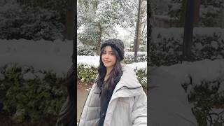 雪降ったねー!☃️