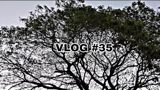 VLOG #35 | FEBRUARY 2024 #vlog #vlogs #youtube #life #dailyvlog #simplelife #happy #lifestyle #video