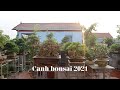 Thăm vườn bonsai trên cao đặc sắc của anh Canh ở Tam Hưng 2021