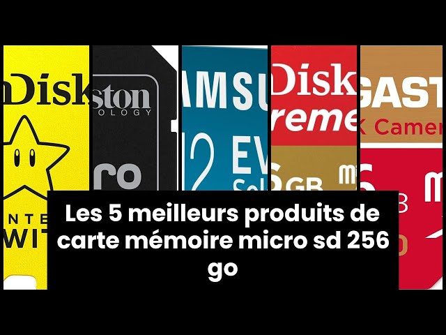 CARTE MEMOIRE MICRO SD 256 GO: Les 5 meilleurs produits de carte