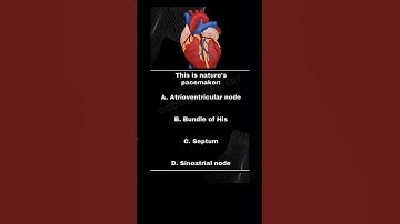 CPC Exam Anatomy frequently asked question. Let