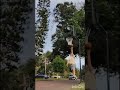 60 year old baseline finger roll layup.