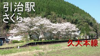 【 JR九州】【久大本線 】引治 駅のさくら 2020.05.06