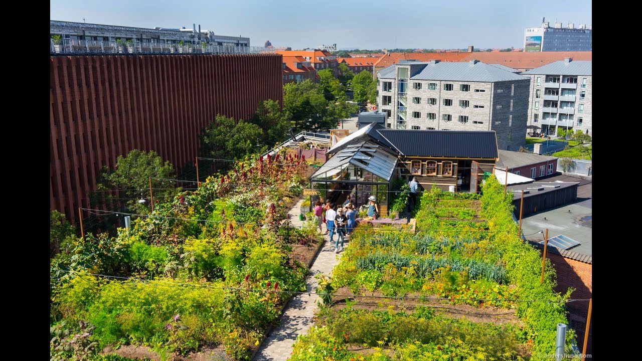 Eat on City Rooftop! – Restaurant Stedsans at ØsterGRO in Copenhagen ...
