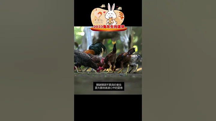 你知道生肖(雞🐔)在2023年運勢會怎樣？ - 天天要聞