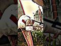 X N Kingsman 2 2017 Edit L Fragment Slxughter Slowed X N Kingsman 2 2017 Edit L Fragment Slxughter Slowed