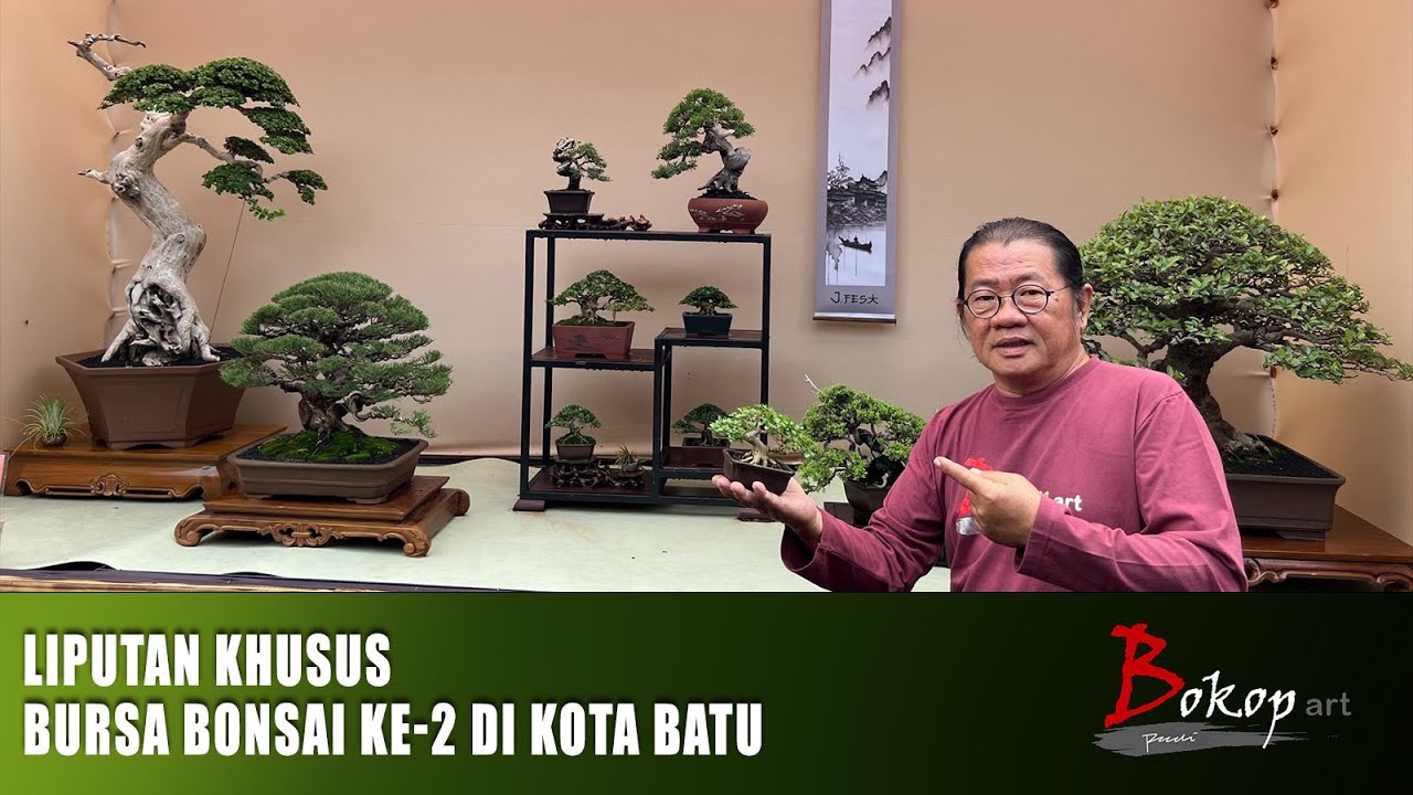 LIPUTAN KHUSUS BURSA BONSAI KE-2 di KOTA BATU