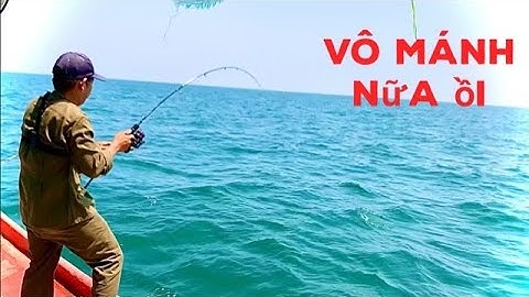 jig cá biển rạn nhân tạo Cà Mau//jig cá bè lão, jig cá bớp//Cá Nhồng,awin Cá Bè