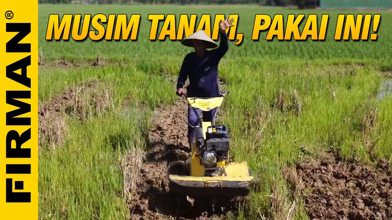 Cultivator Double Gardan di Sawah Dangkal, Santai