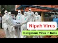 Nipah Virus Kerala | Nipah Virus Symptoms and Treatment