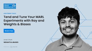 Tend and Tune Your MARL Experiments with Ray and Weights & Biases