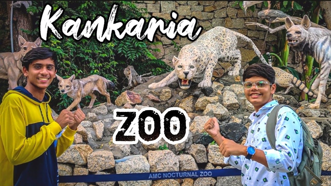 Ajab Gajab😱 animals at Kankaria Zoo Ahemdabad YouTube