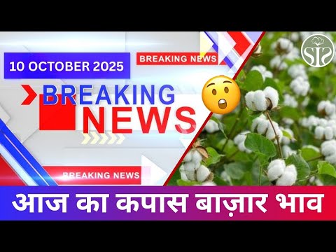 आज के कपास बाजार पर एक नज़र🤔|| Cotton market rate today #kapas #news #smartinfo