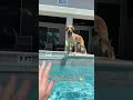 They are teaching us 🐶💕