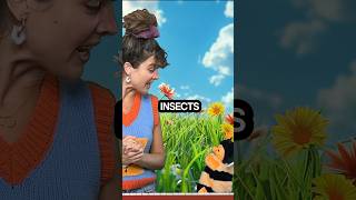 Celebrity All About Insects 🐞 with Birdie and Miss B! #toddlerlearning #earlylearning #preschool Profile