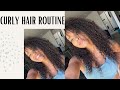 Curly Hair Routine // Chandler Nicoll