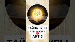 Сура «Аль-Бакара» — Аят 5 | Они следуют прямым путём