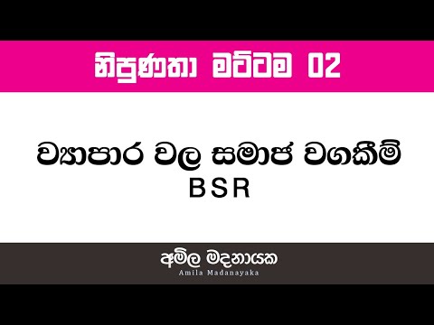 ව්‍යාපාර වල සමාජ වගකීම් - BSR -  Amila Madanayaka