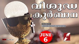 HOLY MASS LIVE @ 6 AM, 6 JUN 2024|REV Fr Alex Chalangady VC|MALAYALAM QURBANA|TODAY MASS|GOODNESS TV