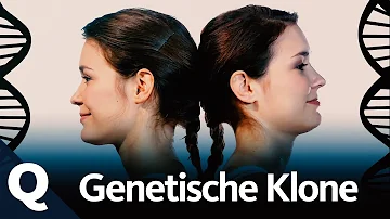 Haben eineiige Zwillinge immer die gleichen Krankheiten?