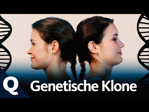 Zwillinge – Was sie über die Macht der Gene verraten | Quarks