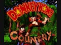 Donkey Kong Country Music - Main Theme