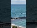 How did they do on the way back into the Haulover Inlet? Filmed for us by my good friend Scott